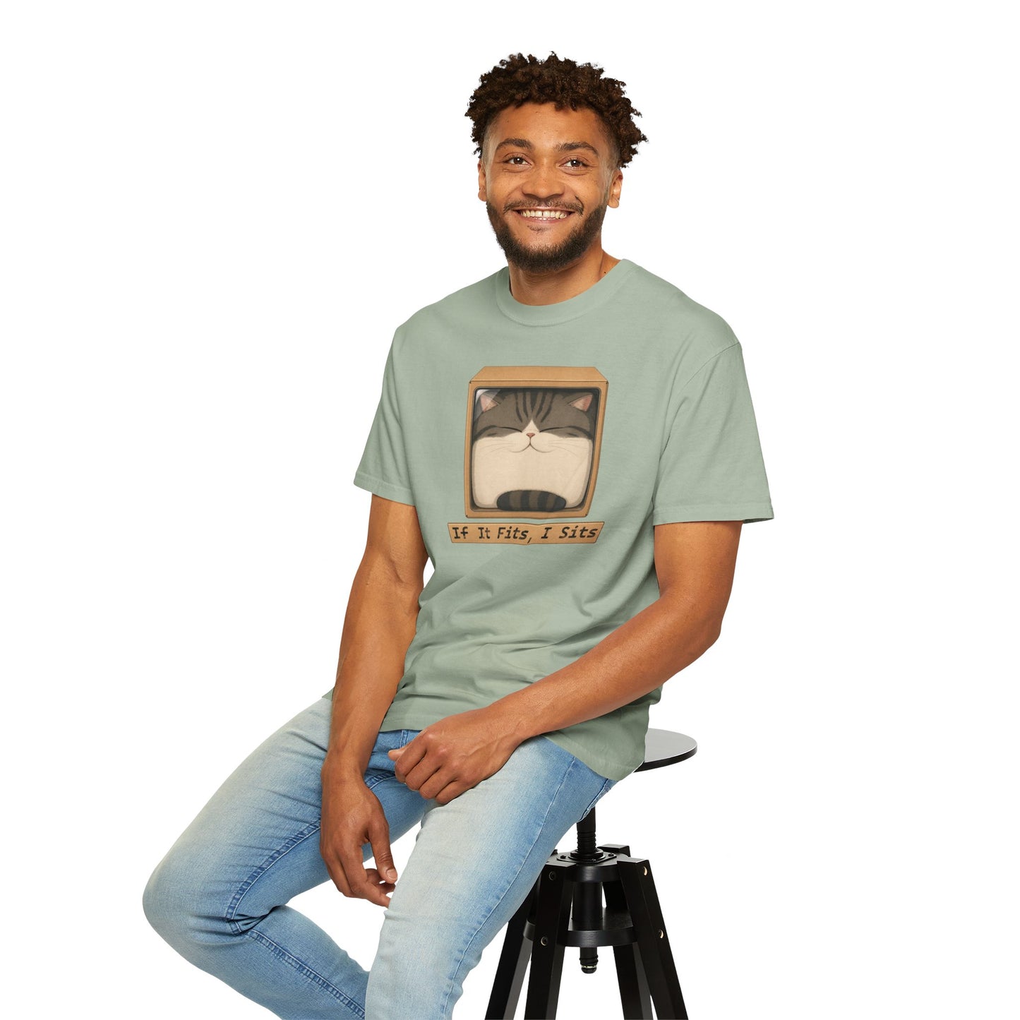 "If It Fits I Sits" Cat in a Box Tee