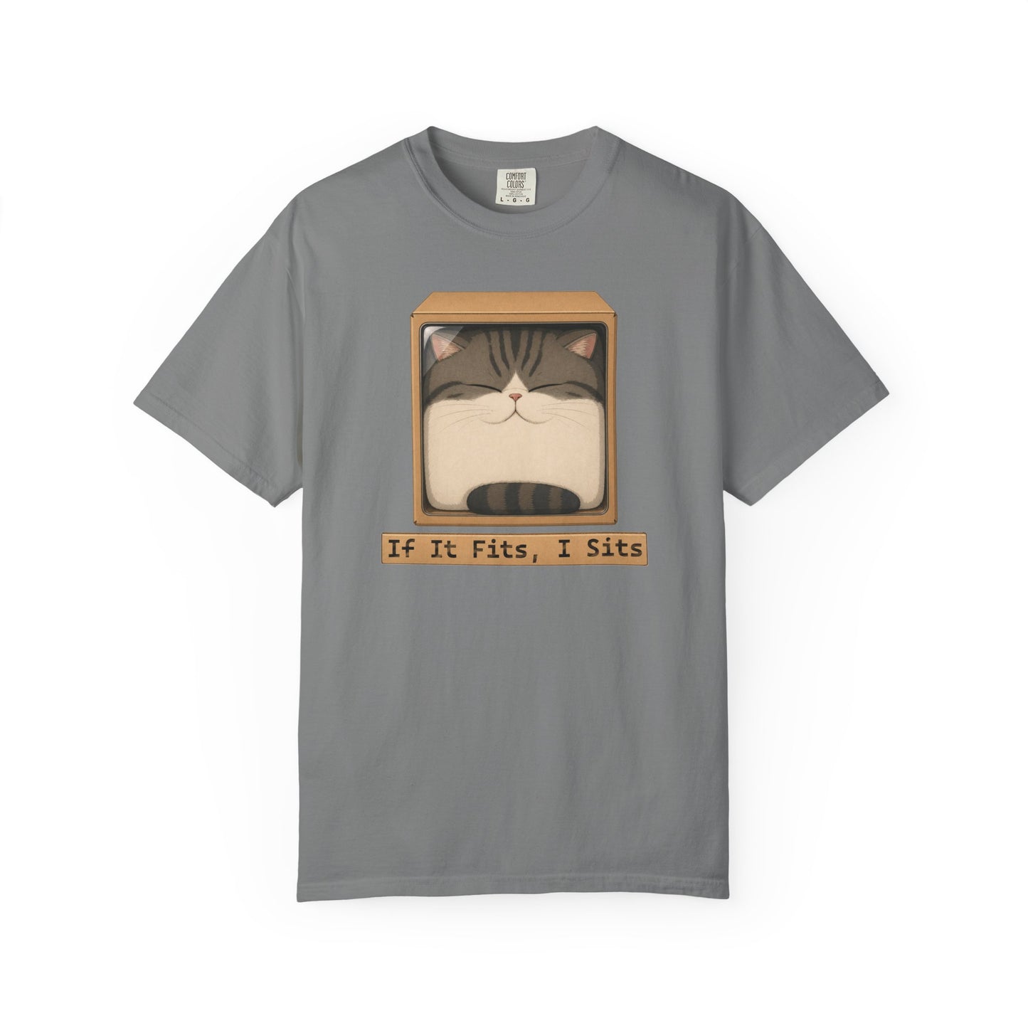 "If It Fits I Sits" Cat in a Box Tee