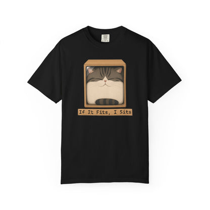 "If It Fits I Sits" Cat in a Box Tee