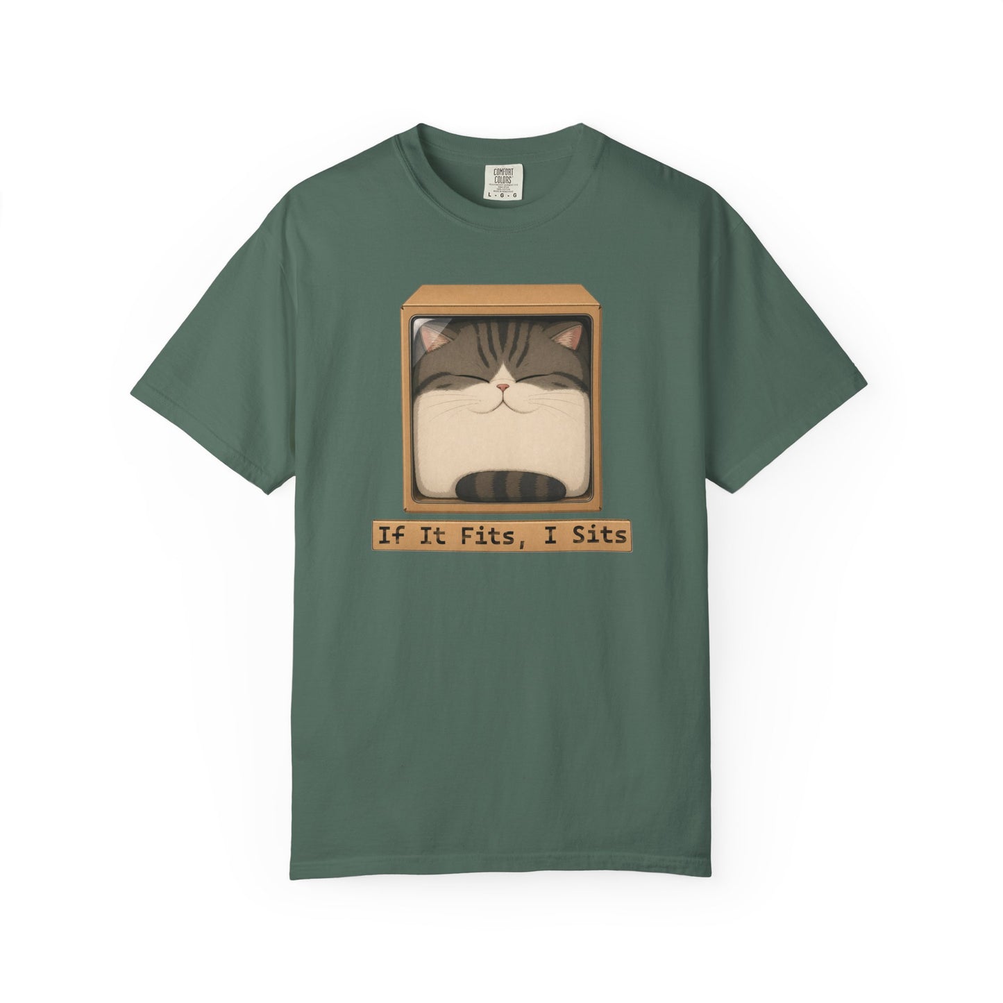 "If It Fits I Sits" Cat in a Box Tee