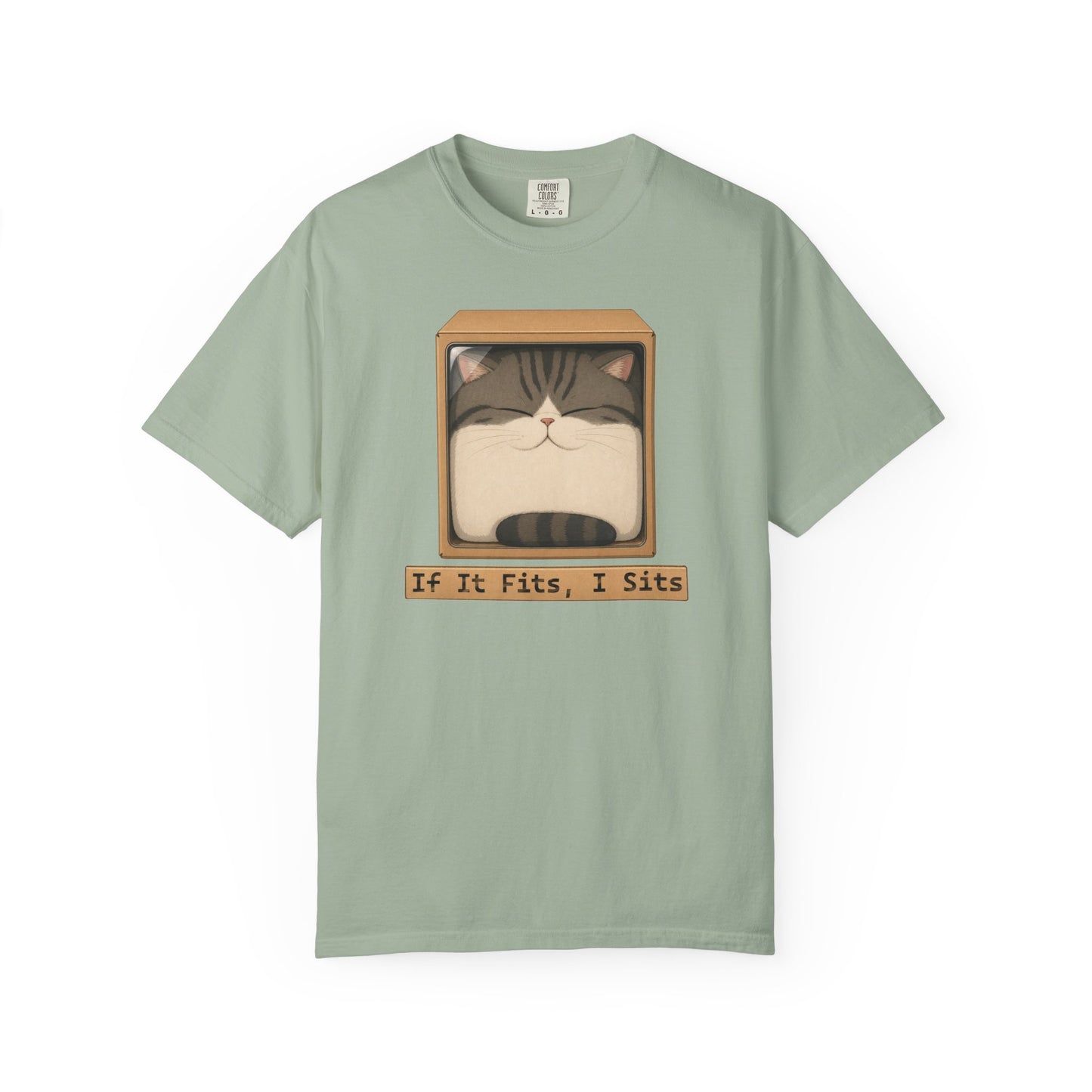 "If It Fits I Sits" Cat in a Box Tee